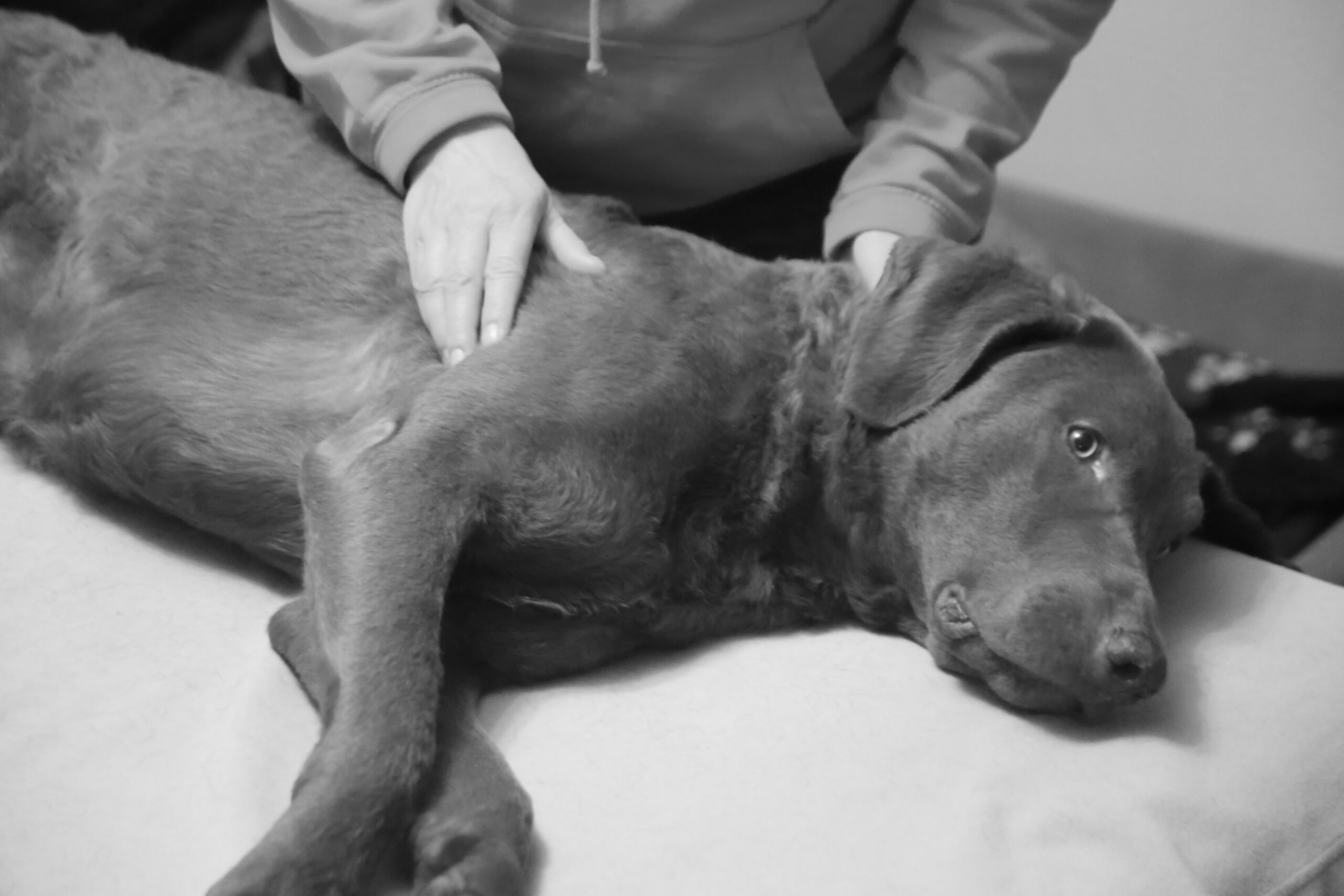 Dorn & Breuss Massage